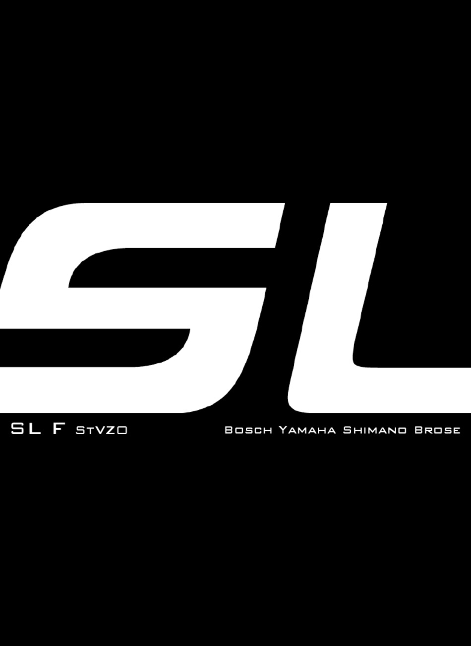 LUPINE SL F STVZO MANUAL Pdf Download 