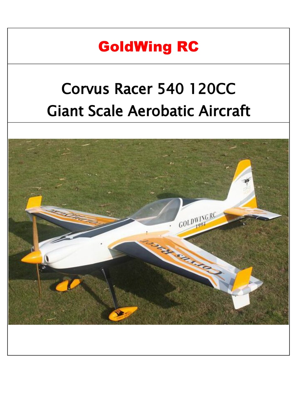 Goldwing cheap rc plane