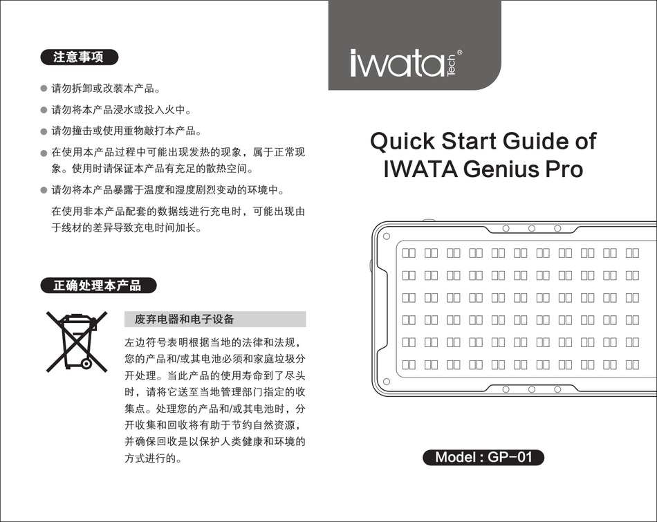 IWATA TECH GENIUS PRO GP-01 QUICK START MANUAL Pdf Download