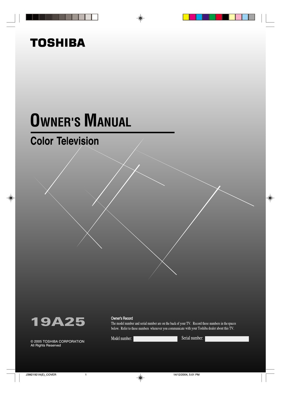 TOSHIBA 19A25 OWNER