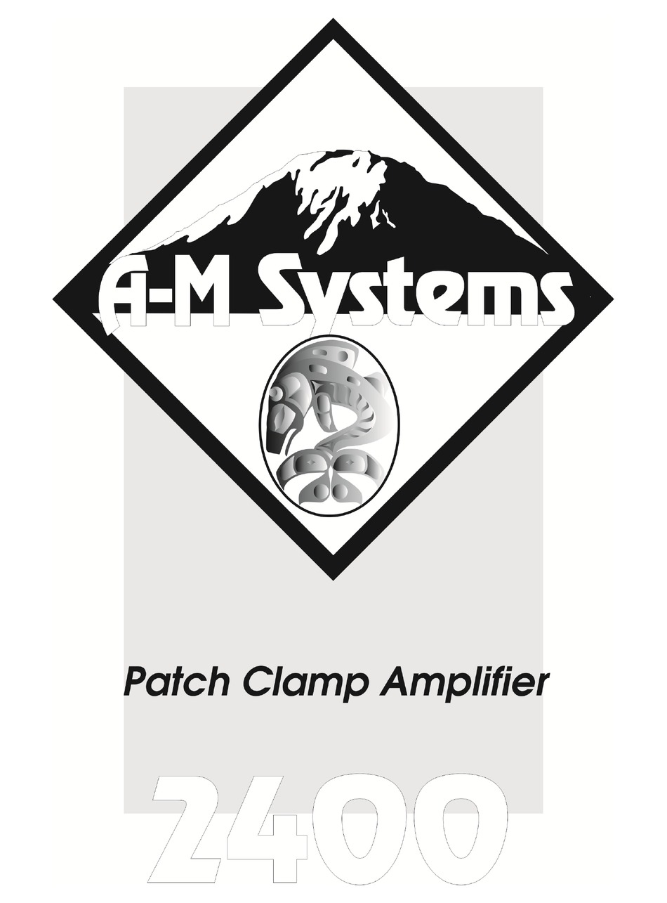 AM SYSTEMS 2400 INSTRUCTION MANUAL Pdf Download ManualsLib