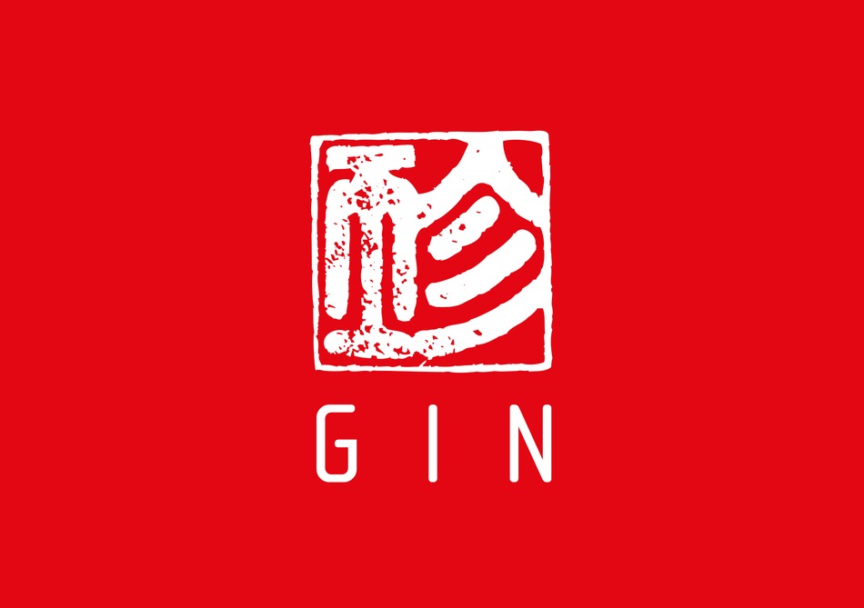 GIN EXPLORER MANUAL Pdf Download ManualsLib