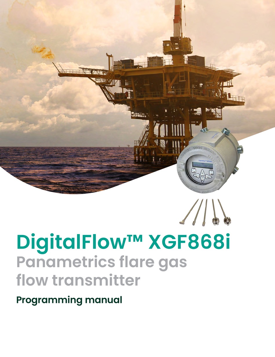 BAKER HUGHES PANAMETRICS DIGITALFLOW XGF868I PROGRAMMING MANUAL Pdf