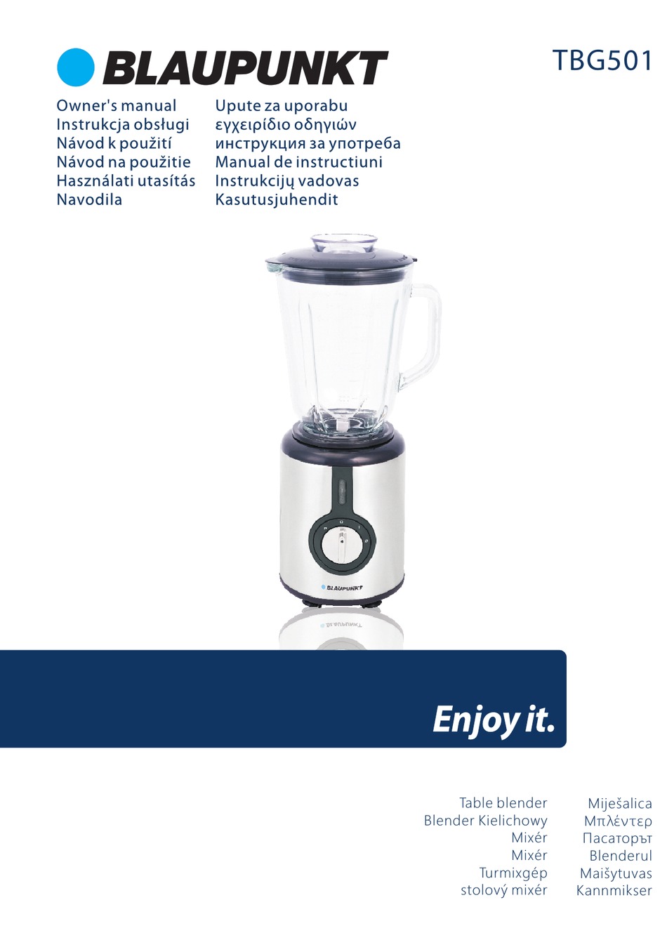 BLAUPUNKT TBG501 OWNER'S MANUAL Pdf Download ManualsLib