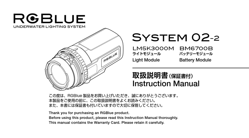 RGBLUE SYSTEM 02-2 INSTRUCTION MANUAL Pdf Download | ManualsLib