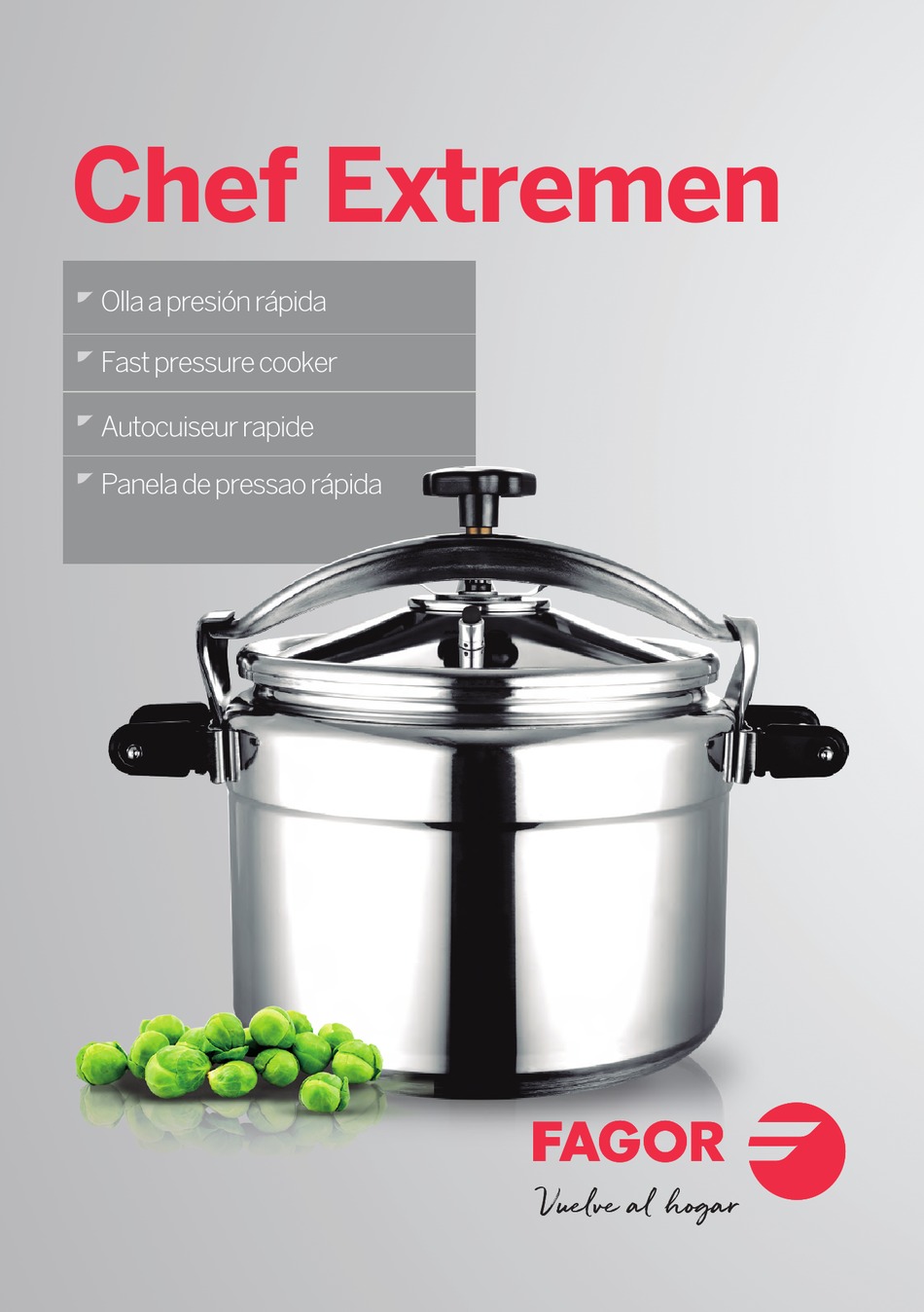 FAGOR CHEF EXTREMEN 810PFGEXT22 INSTRUCTION MANUAL Pdf Download
