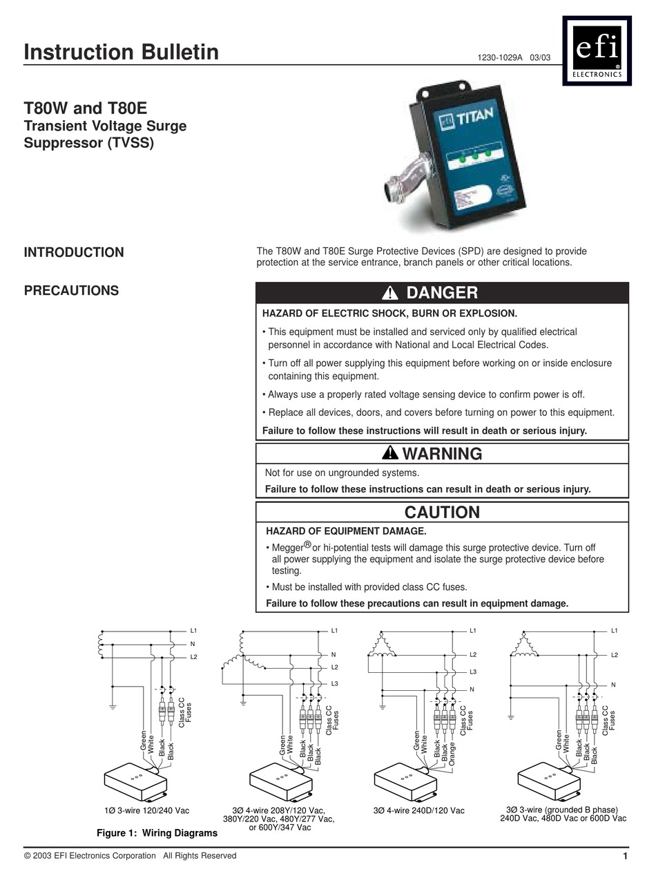 EFI T80W QUICK START MANUAL Pdf Download ManualsLib