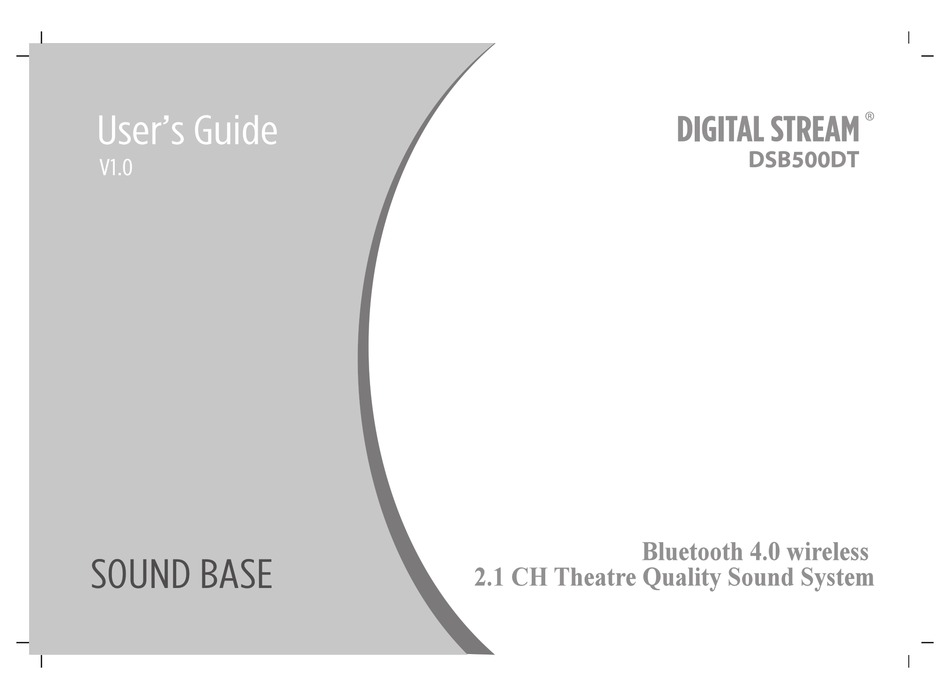 DIGITAL STREAM DSB500DT USER MANUAL Pdf Download ManualsLib