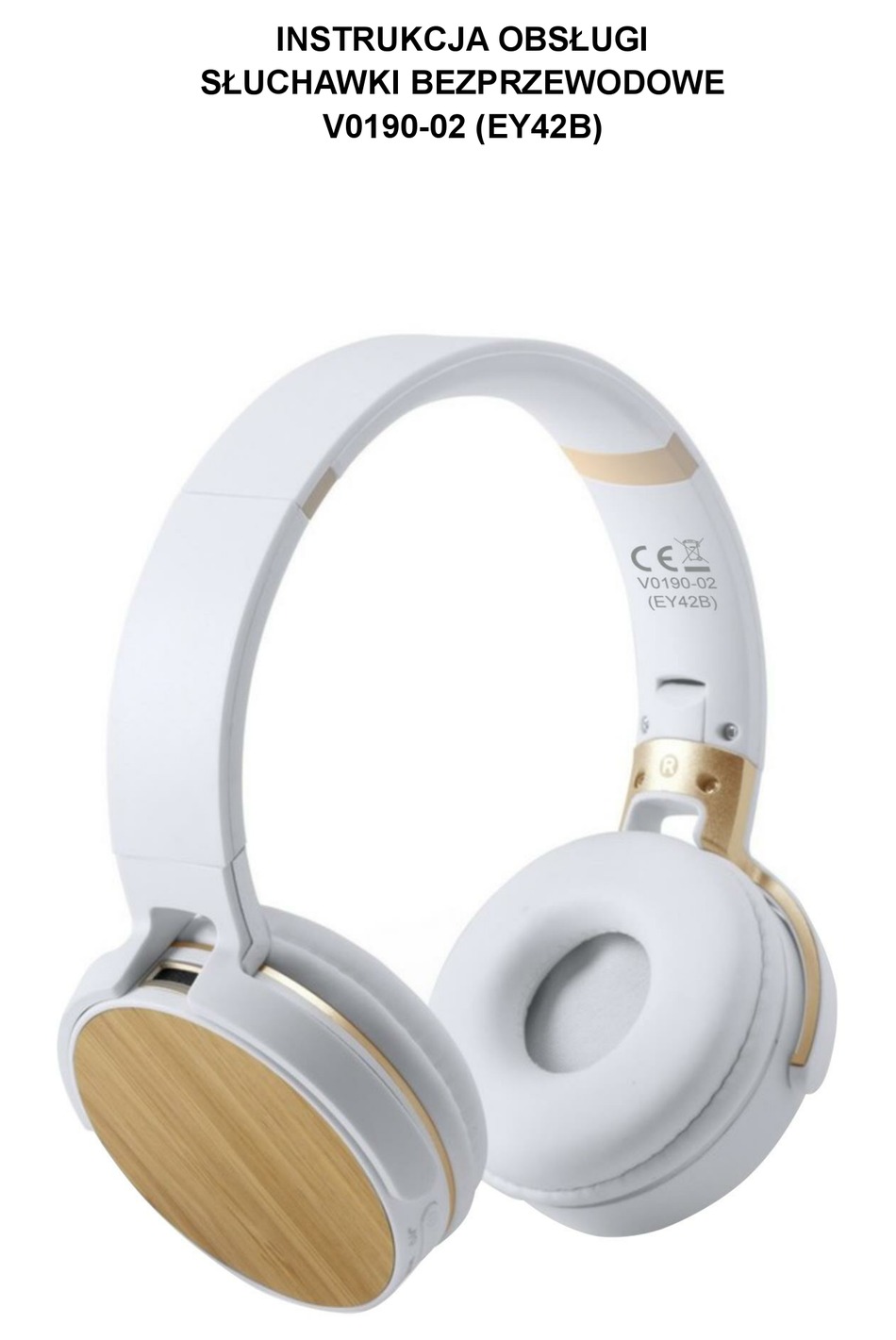 VOYAGER V0190-02 INSTRUCTION MANUAL Pdf Download | ManualsLib