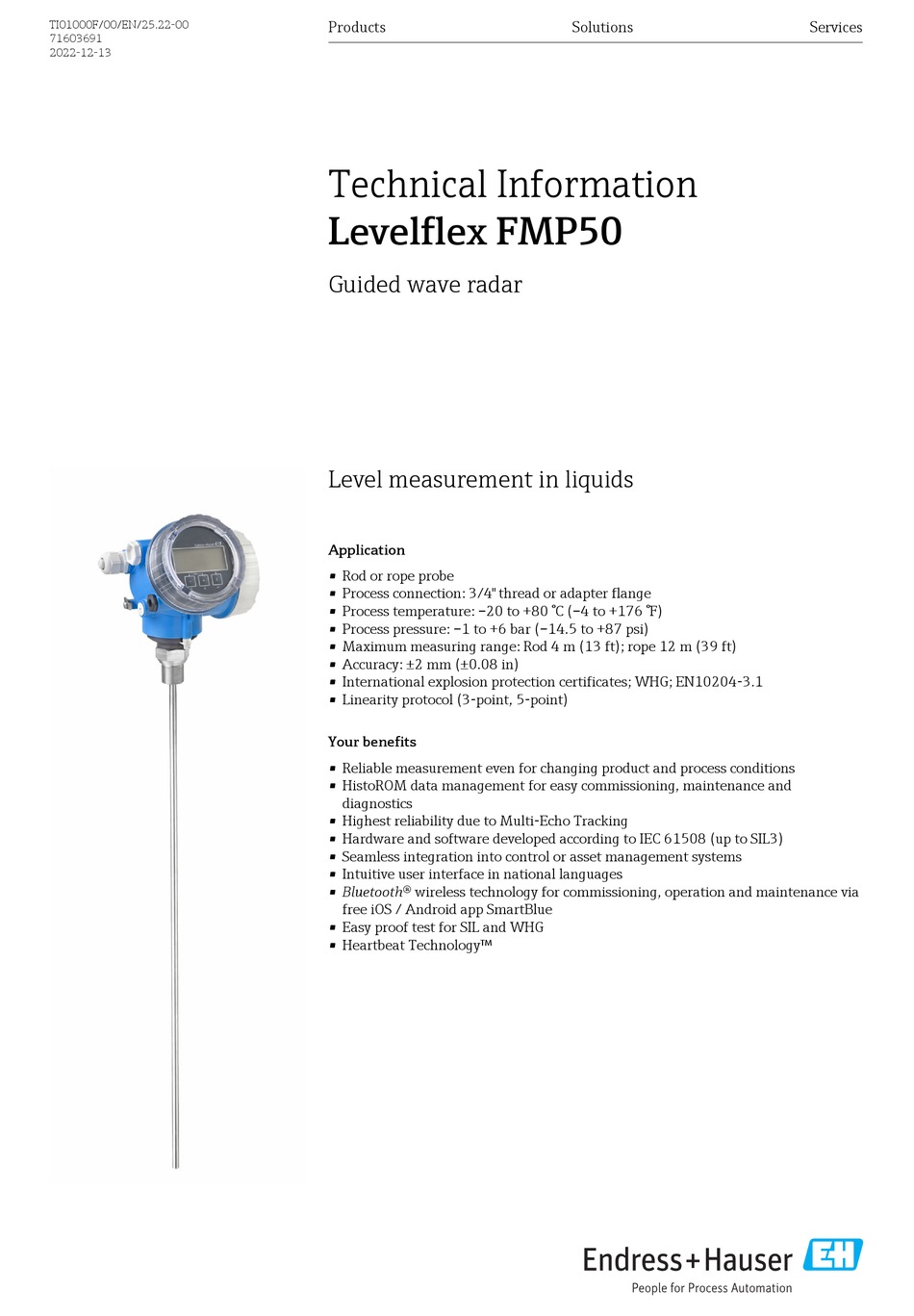 ENDRESS+HAUSER LEVELFLEX FMP50 TECHNICAL INFORMATION Pdf Download