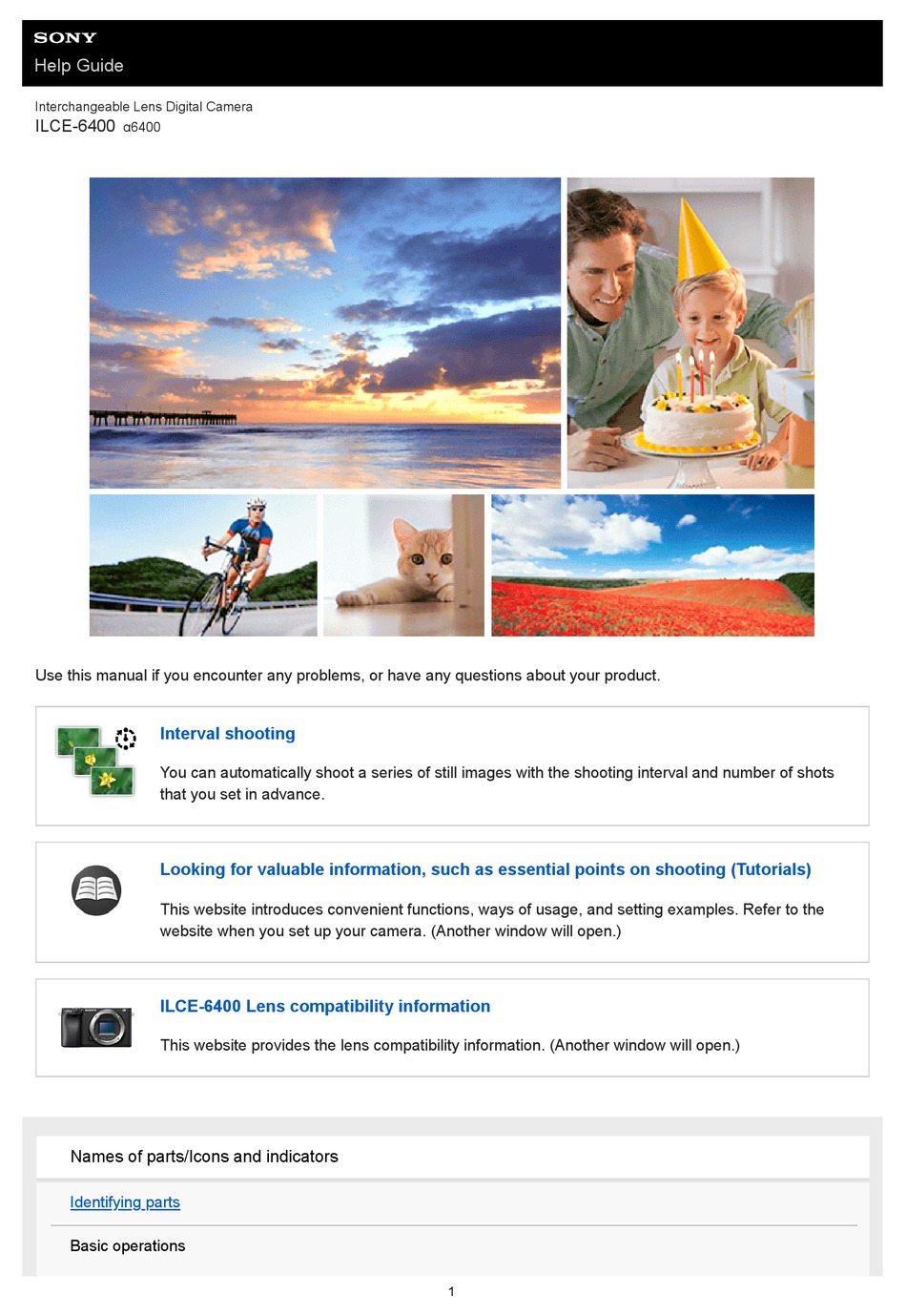 SONY ILCE6400 HELP MANUAL Pdf Download ManualsLib