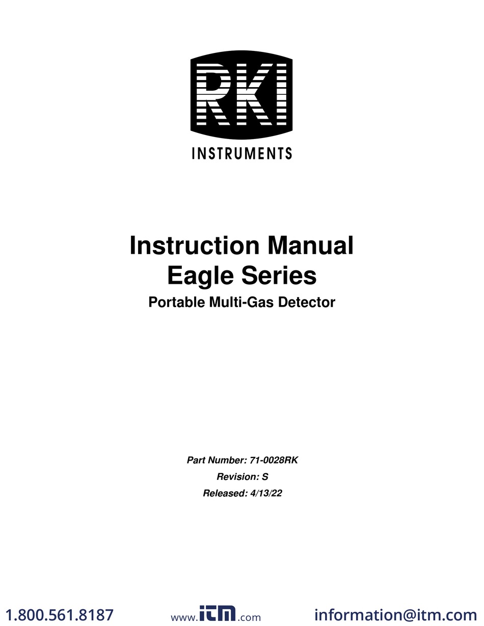 RKI INSTRUMENTS EAGLE SERIES INSTRUCTION MANUAL Pdf Download | ManualsLib