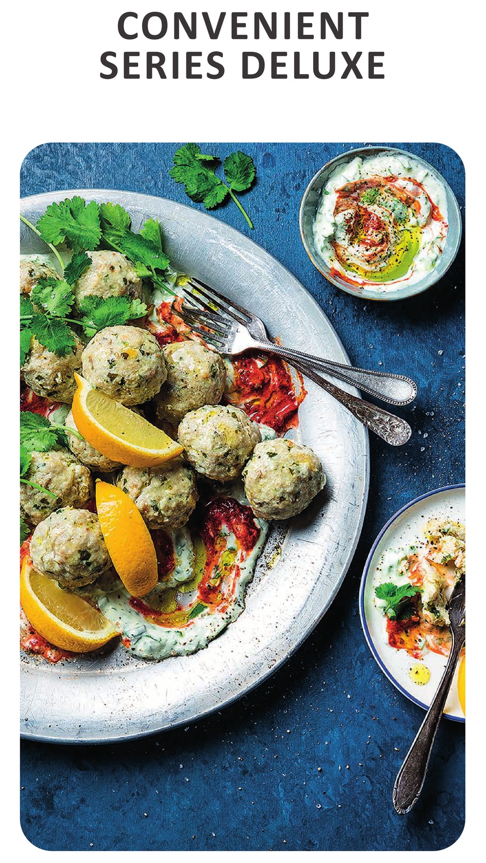 TEFAL CONVENIENT DELUXE SERIES MANUAL Pdf Download | ManualsLib