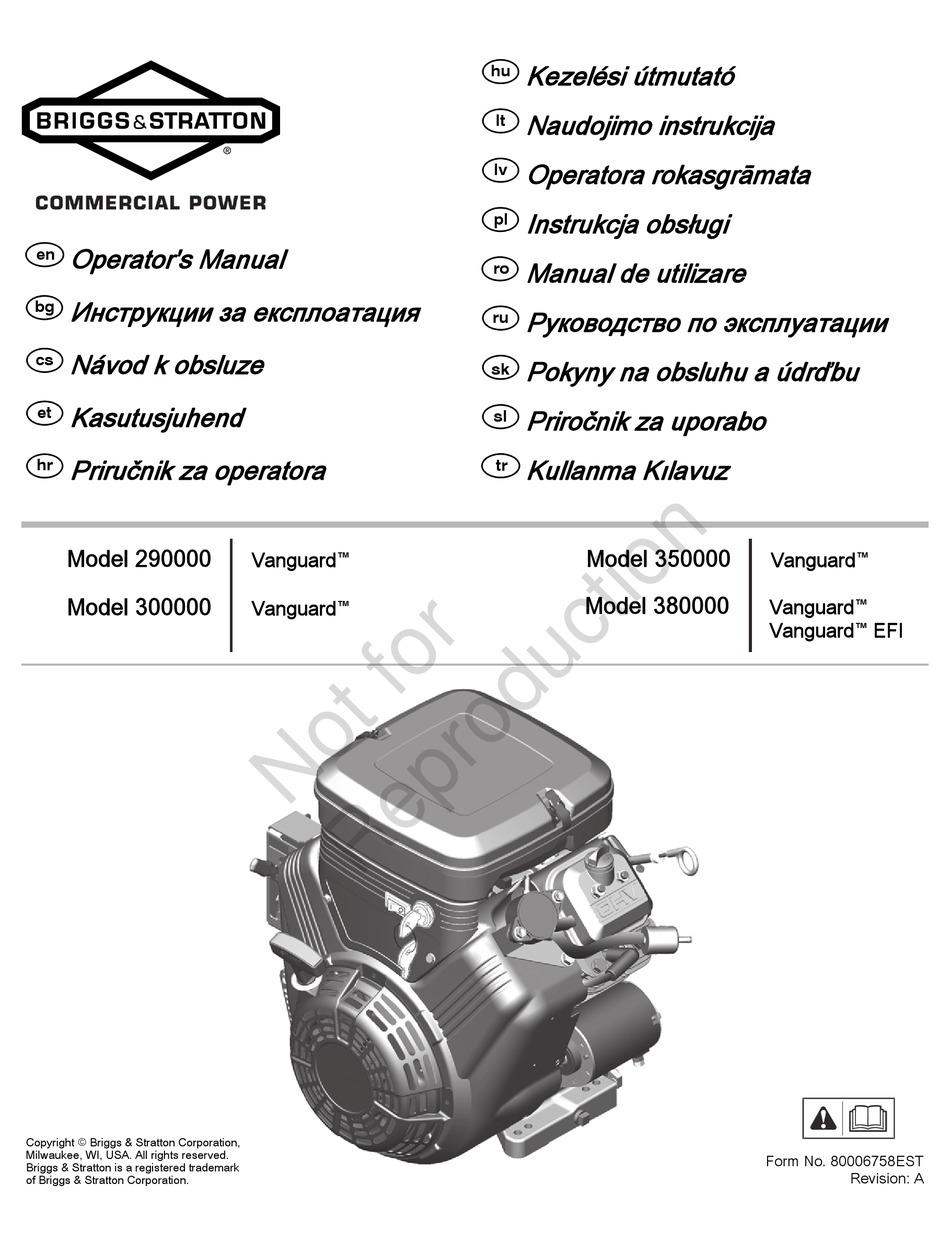 BRIGGS & STRATTON VANGUARD 290000 OPERATOR'S MANUAL Pdf Download ...