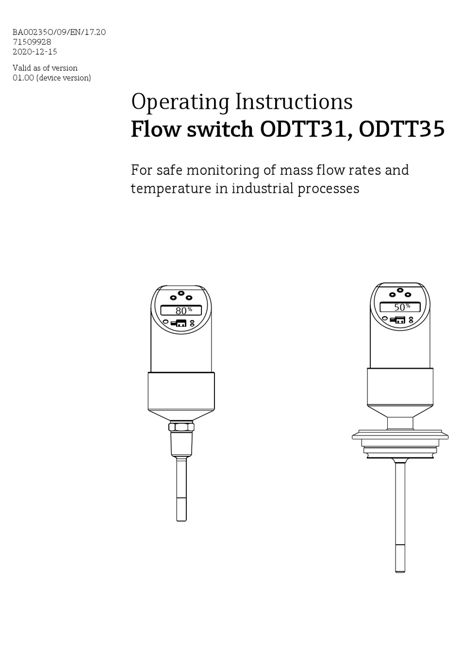 ENDRESS+HAUSER FLOWPHANT T ODTT31 OPERATING INSTRUCTIONS MANUAL Pdf Download ManualsLib
