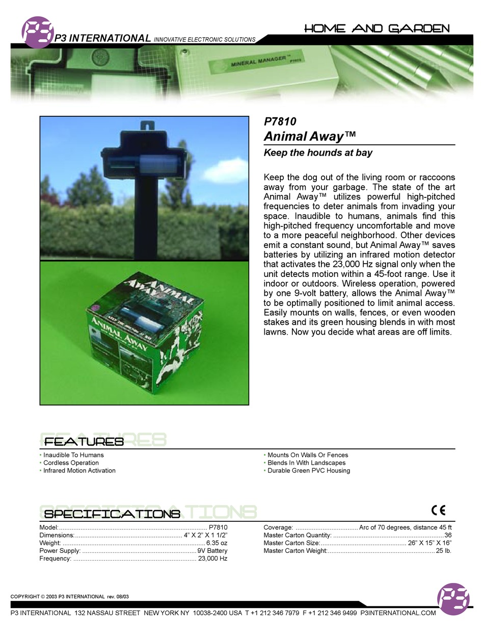 Braindump P3 Pdf