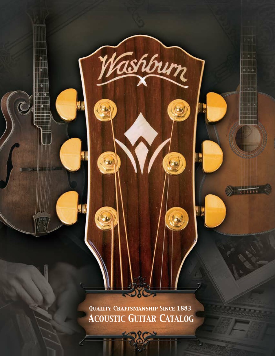 Washburn wd20s deals