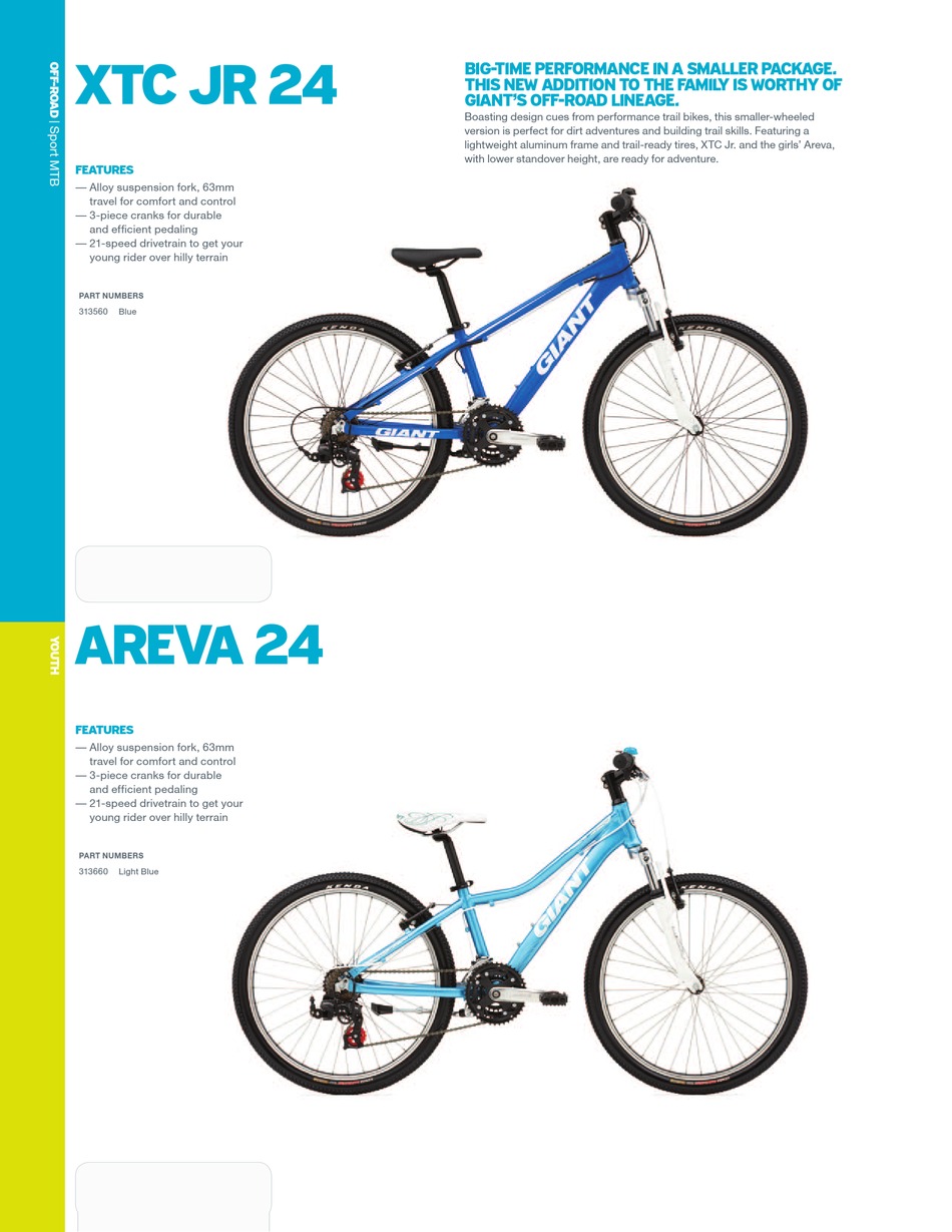 giant areva bike