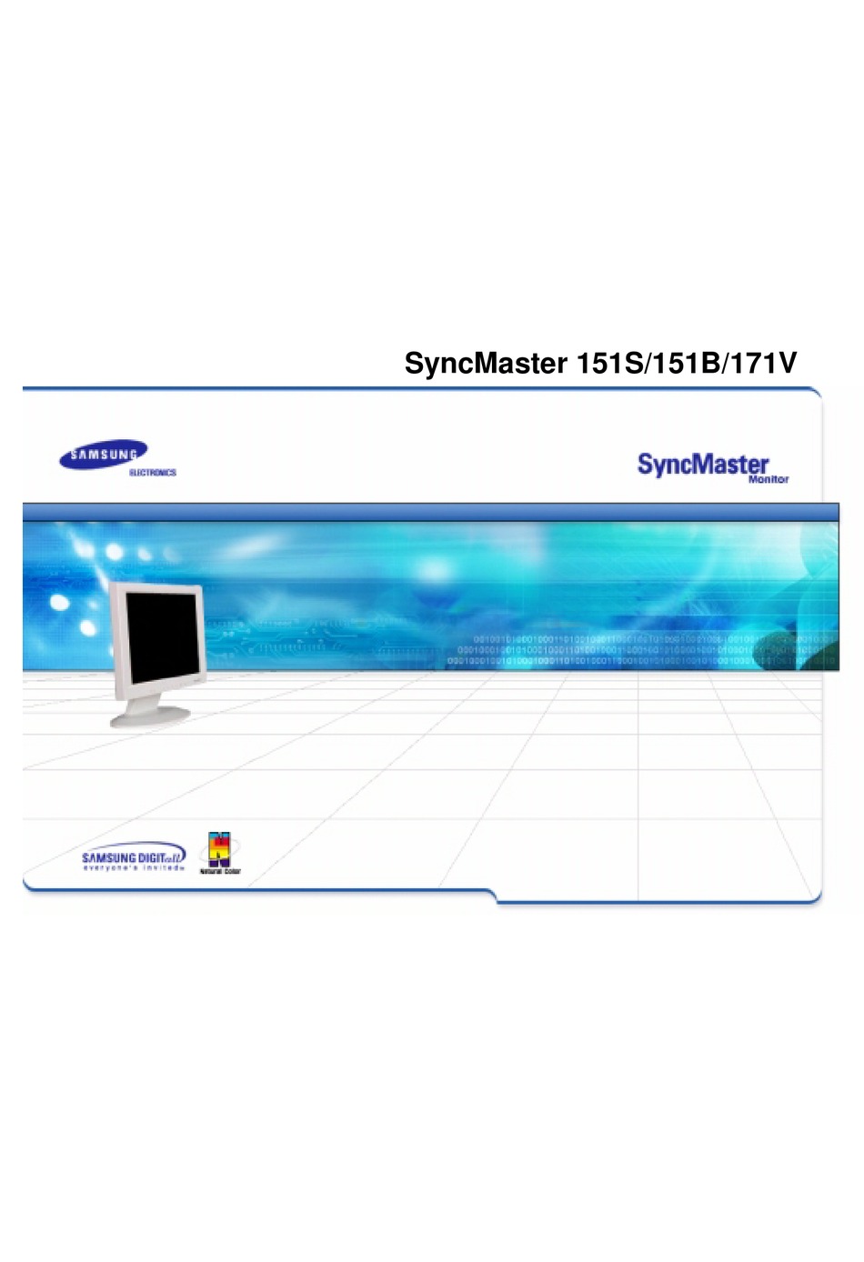 samsung syncmaster 171v