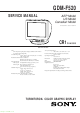 Sony GDM-F520 Service Manual