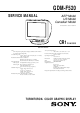 Sony GDM-F520 Service Manual