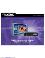 Black Box VSD221 Brochure