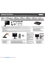 Dell Professional P190S Setting Up