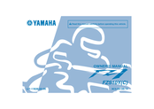 Yamaha FZS10Y Owner's Manual
