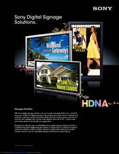 Sony VSPNS7 Brochure