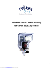 Fantasea F580EX Mark II Using Manual