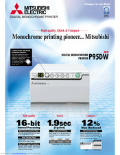 Mitsubishi Electric P95DW Specification