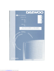 Daewoo DTE-28 Series Setup Manual