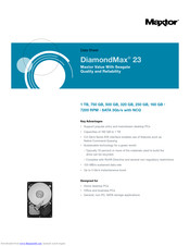 Maxtor STM31000528AS Datasheet
