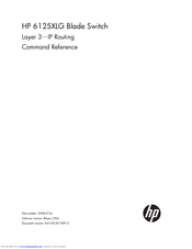 HP 6125XLG Command Reference Manual
