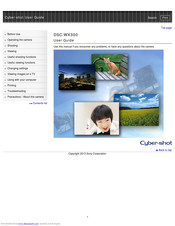 Sony DSC-WX300 User Manual