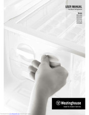 Westinghouse WTB3100 User Manual