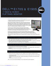 Dell E170S - 17