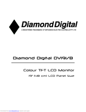 Diamond Digital DV191B User Manual