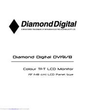 Diamond Digital DV191 User Manual