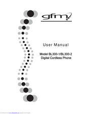 GFM BL300-1 User Manual