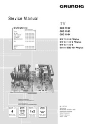 Grundig Denver SE 82-100 PALplus Service Manual