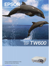 Epson TW600 Brochure & Specs