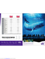 BenQ SL461A Brochure & Specs