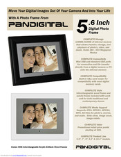Pandigital 8.0-Inch Digital Photo Frame w/2 Interchangeable Frames & 128MB Built-in Memory 