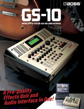 Boss GS-10 Brochure & Specs
