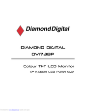 Mitsubishi Electric Diamond Digital DV173BP User Manual