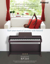 Roland RP201 Brochure & Specs