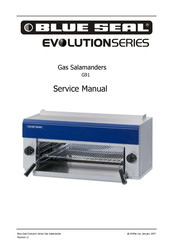 Blue Seal G91 Service Manual