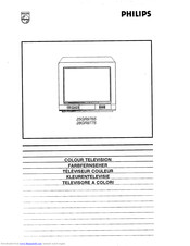Philips 25GR9765 User Manual