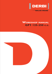 Derbi GP1 250 c.c. Workshop Manual